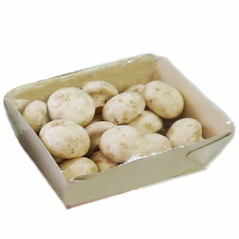 CHAMPIÑONES 