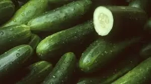 PEPINO COHOMBRO