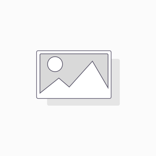 CEPILLO FIBRA MEDIA 1 UND 