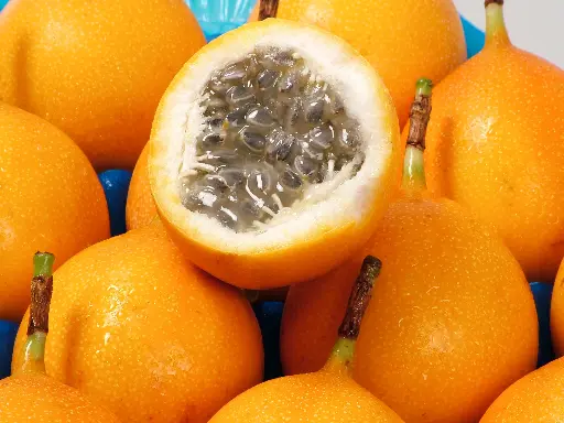 GRANADILLA